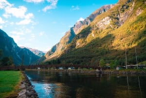 ネーロイフィヨルドクルーズ、フロム、ステガステイン - ランチ付き