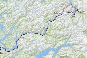 ネーロイフィヨルドクルーズ、フロム、ステガステイン - ランチ付き