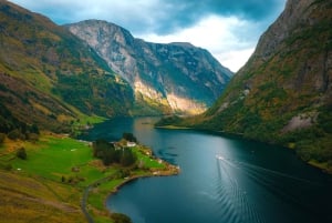 Crucero por Nærøyfjord, Flåm y Stegastein - Almuerzo incluido