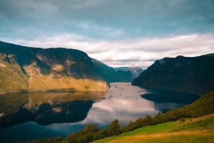 Crucero por Nærøyfjord, Flåm y Stegastein - Almuerzo incluido