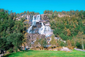 Crucero por Nærøyfjord, Flåm y Stegastein - Almuerzo incluido