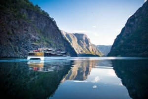 Crucero por Nærøyfjord, Flåm y Stegastein - Almuerzo incluido
