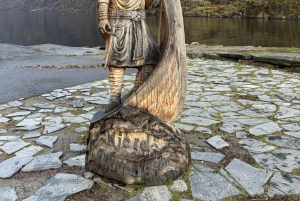 Crucero por Nærøyfjord, Flåm y Stegastein - Almuerzo incluido