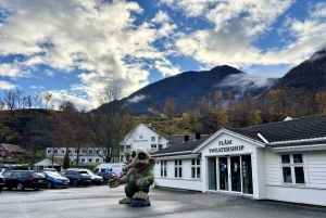 Crucero por Nærøyfjord, Flåm y Stegastein - Almuerzo incluido
