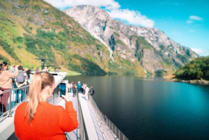 Crucero por Nærøyfjord, Flåm y Stegastein - Almuerzo incluido