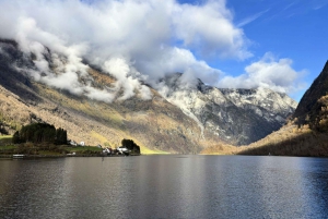 Crucero por Nærøyfjord, Flåm y Stegastein - Almuerzo incluido