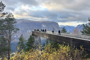 Crucero por Nærøyfjord, Flåm y Stegastein - Almuerzo incluido
