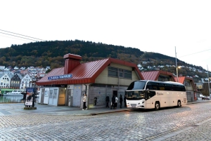 Crucero por Nærøyfjord, Flåm y Stegastein - Almuerzo incluido