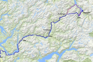 Crucero por Nærøyfjord, Flåm y Stegastein - Almuerzo incluido