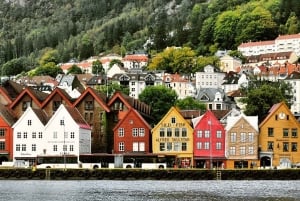 Oslo: Private Bergen and Fjords Tour with Guide