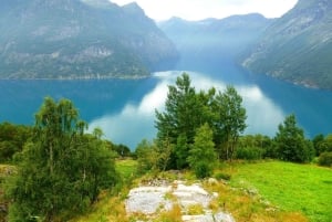 Oslo: Private Bergen and Fjords Tour with Guide