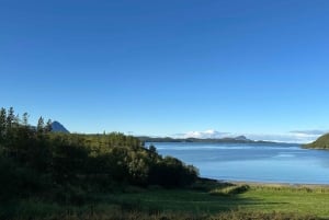 Oslo: Private Bergen and Fjords Tour with Guide