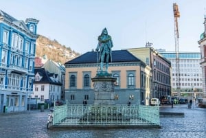 Oslo: Private Bergen and Fjords Tour with Guide