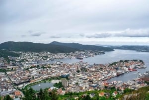 Oslo: Private Bergen and Fjords Tour with Guide