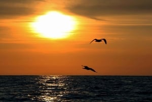 Oslo: Private Bergen and Fjords Tour with Guide