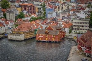 Oslo: Private Bergen and Fjords Tour with Guide