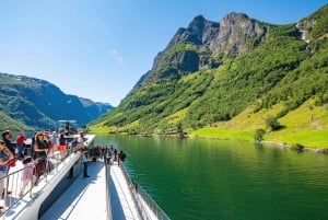 Excursión privada de un día - Ferrocarril de Flam y crucero por los fiordos desde Bergen