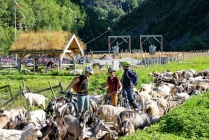 Excursión privada de un día - Ferrocarril de Flam y crucero por los fiordos desde Bergen