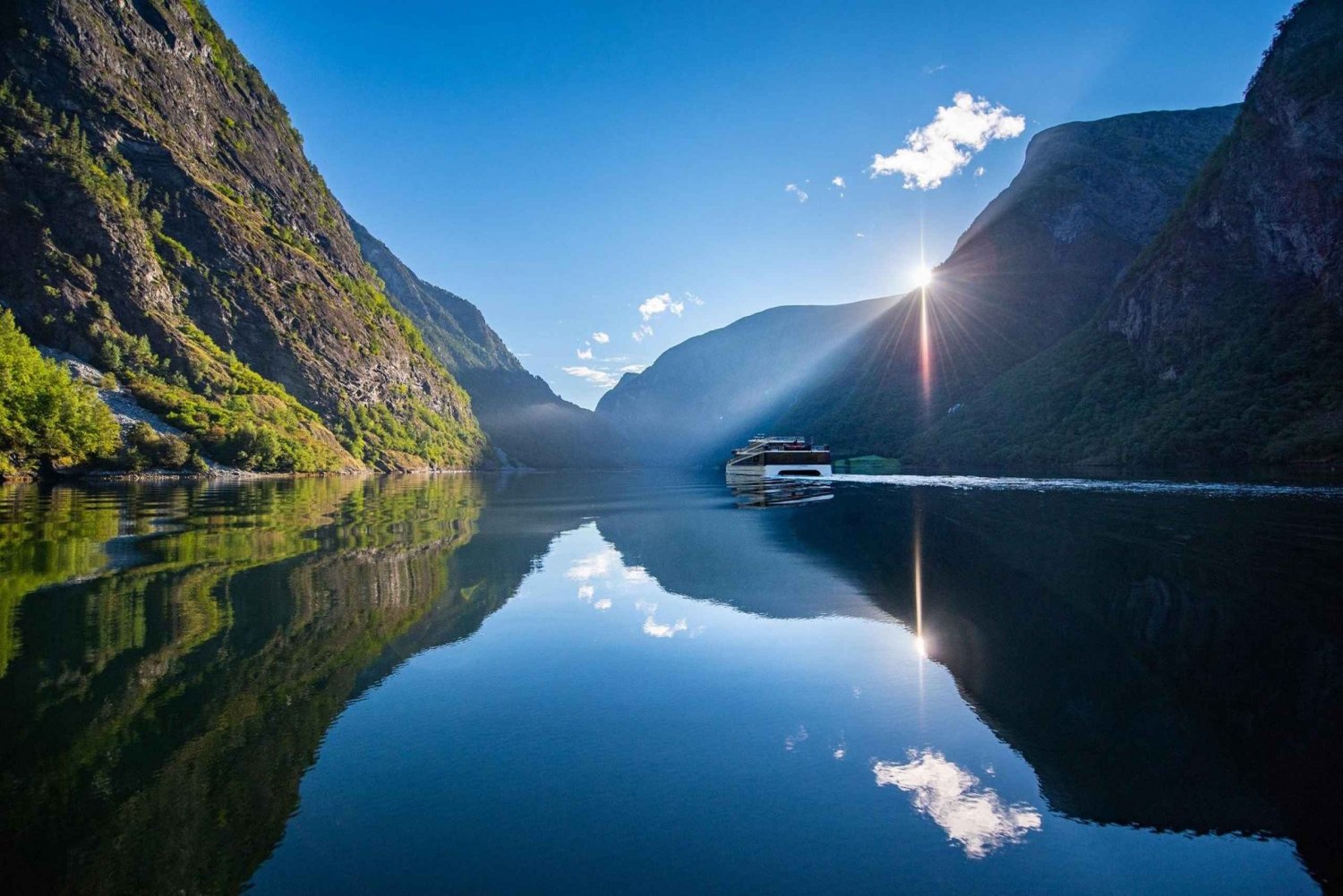 Bergen: Nærøyfjord Cruise & Flåm Railway Day Trip to Oslo