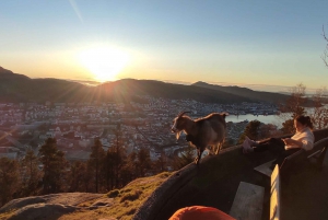 Privat vandretur i Bergen-fjeldene som en lokal