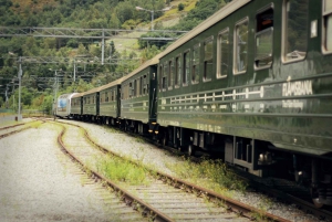 Stavanger: Tour di 8 giorni in Norvegia con guida