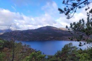 Stavanger: Tour di 8 giorni in Norvegia con guida