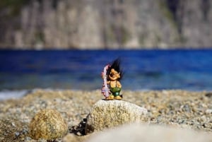 Stavanger: Tour di 8 giorni in Norvegia con guida