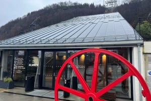 Ставангер: Гора Ульрикен и аквариум Бергена Экскурсия с гидом