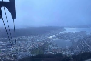 Ставангер: Гора Ульрикен и аквариум Бергена Экскурсия с гидом