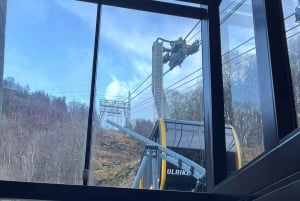 Ставангер: Гора Ульрикен и аквариум Бергена Экскурсия с гидом