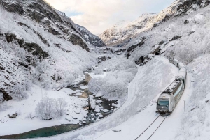 The Flåm Railway & the Nærøyfjord Tour
