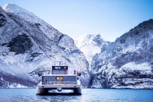 The Flåm Railway & the Nærøyfjord Tour