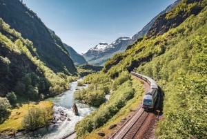 The Flåm Railway & the Nærøyfjord Tour