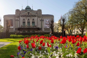 The influence of Bergen in Norways development, city tour