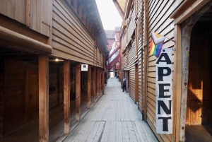 The influence of Bergen in Norways development, city tour