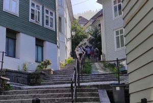 The influence of Bergen in Norways development, city tour
