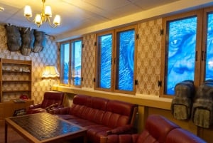 Bergen: bilet wstępu do Muzeum Trolli