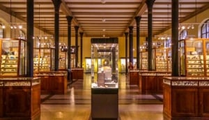 Cultural Program at the did deutsch-institut