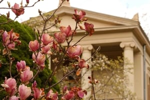 5h Potsdam private tour with Guide, Chauffeur & Photographer