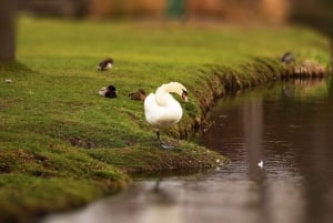 5h Potsdam private tour with Guide, Chauffeur & Photographer