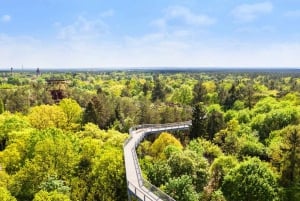 Beelitz-Heilstätten: Baum&Zeit Tree Top Walk Entry Ticket