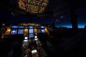Berlin: 1-Hour Airbus A320 Flight Simulator Private Tour