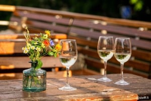 Berlin : croisière de 2,5 heures sur la bière et le coucher du soleil