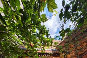 Berlin – Ackerbürgerhaus from 1723 + guided tour & live violin music