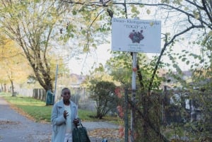 Berlin: African Quarter Historical Guided Walking Tour