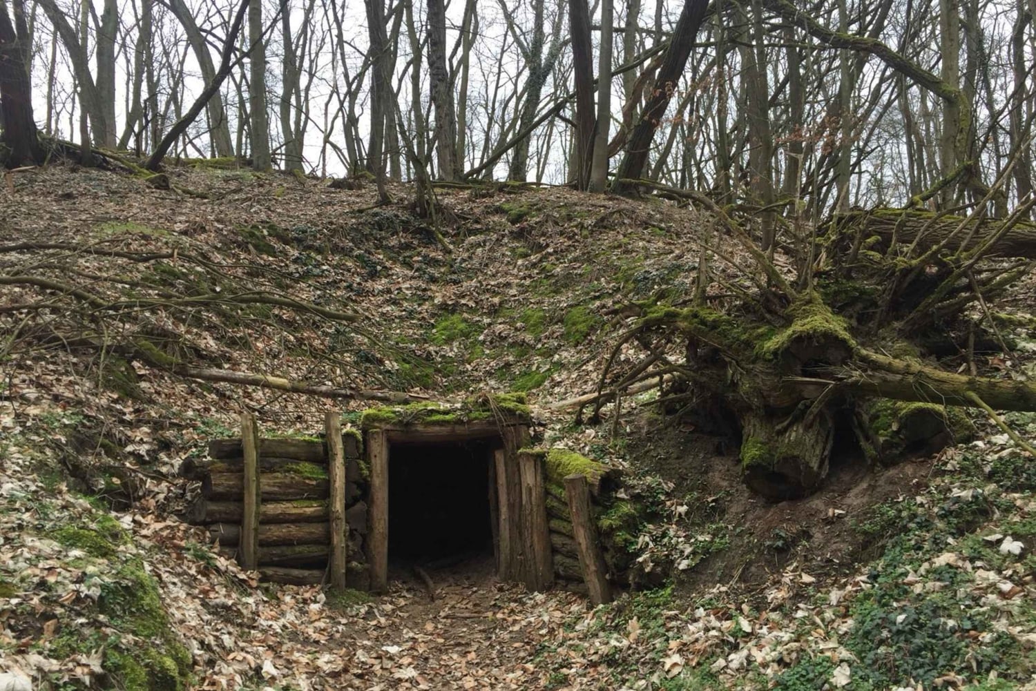 Berlijn: Slag om Seelow Heights WW2 tour -Clash of Titans