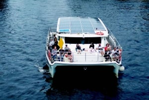 Berlino: giro in barca su un catamarano a energia solare