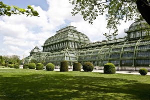 Berlin: Botanical Gardens Entrance Ticket with Audio Guide