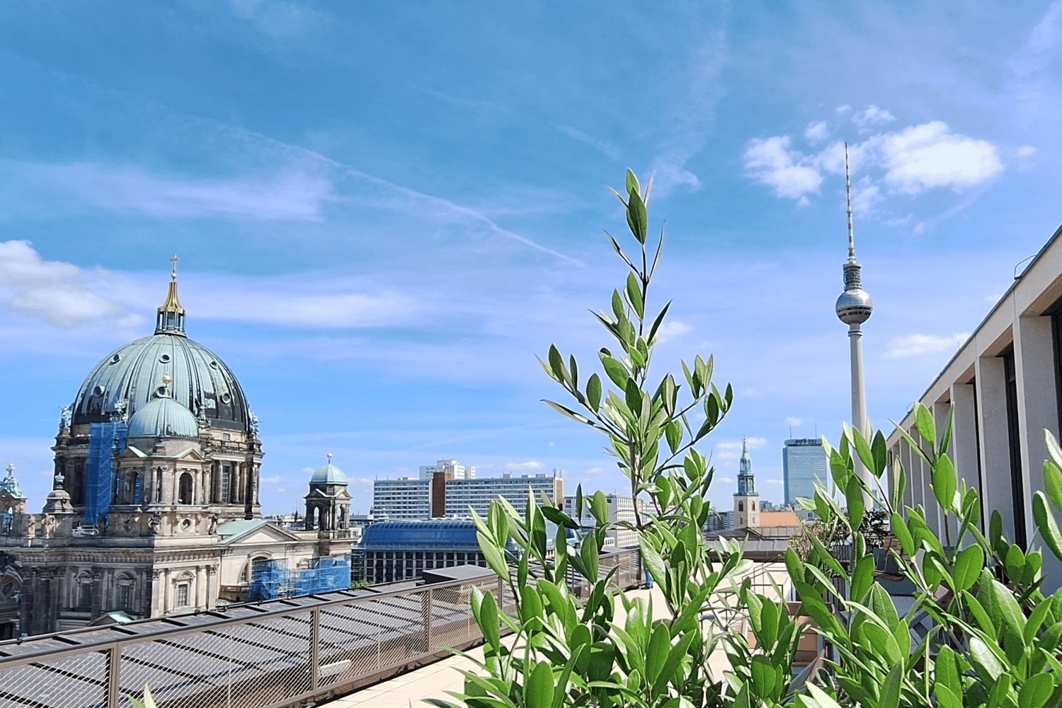Berlin: City Highlights Express & Panorama tagterrasse