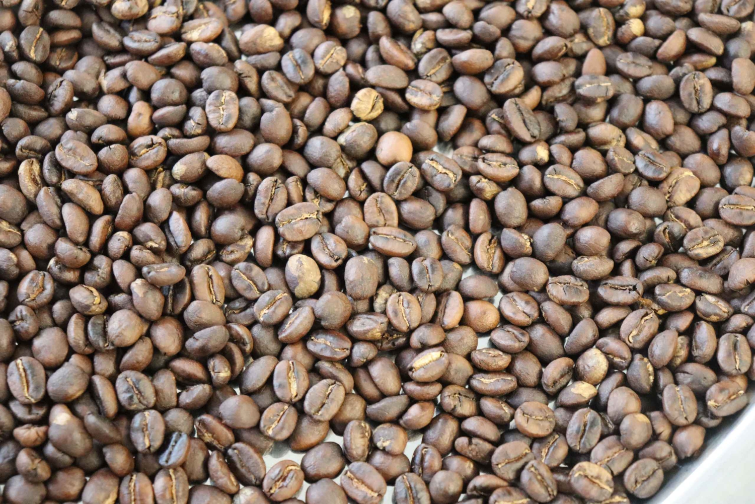 Berlin: DIY Coffee Roasting Workshop